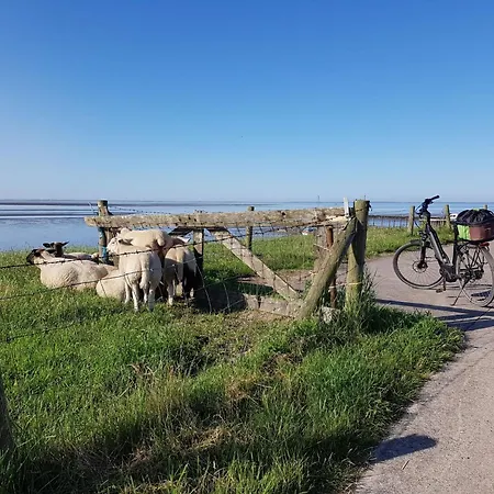 G16 Eingezaeuntes Haus Mit Terrasse Und Garten By Interhome Σπίτι διακοπών