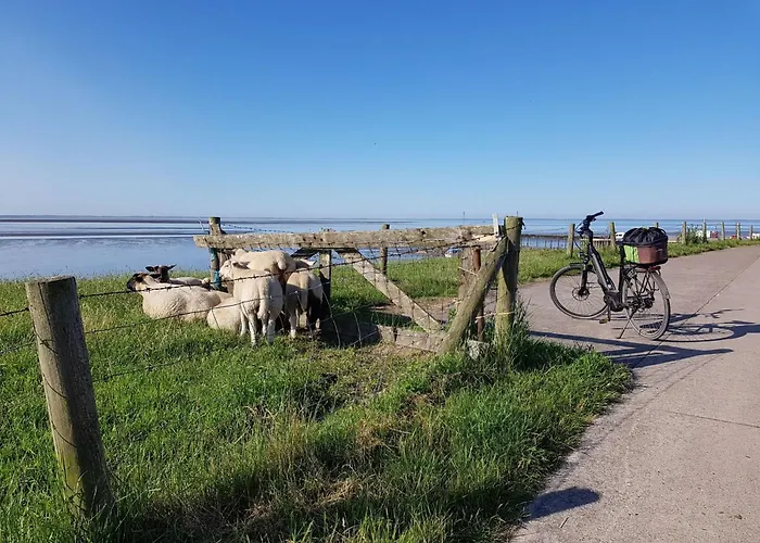 G16 Eingezaeuntes Haus Mit Terrasse Und Garten By Interhome Σπίτι διακοπών